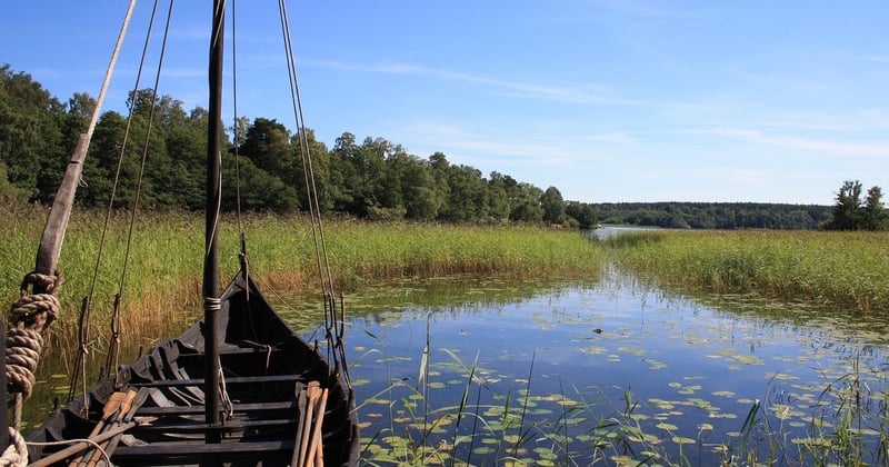 Visiter Roskilde et ses navires : une plongée dans l’histoire viking